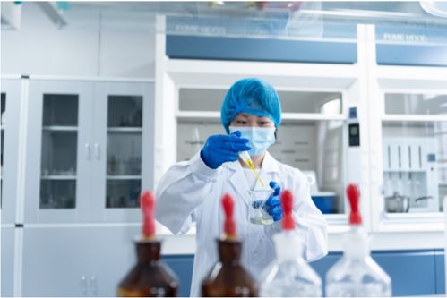 全产业链铸就卓越品质，一站式服务赋能共赢未来——康西爷食品的技术服务之道